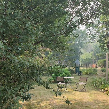 Chalet Dans La Foret....Adorable 1 Bedroom Chalet Surrounded By Woodland Pressignac Exterior photo
