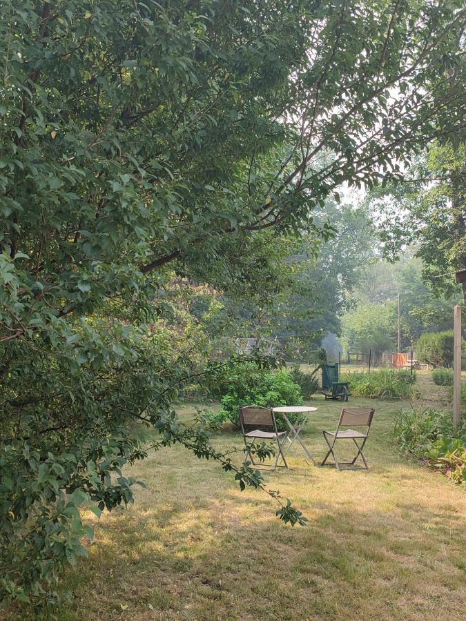 Chalet Dans La Foret....Adorable 1 Bedroom Chalet Surrounded By Woodland Pressignac Exterior photo